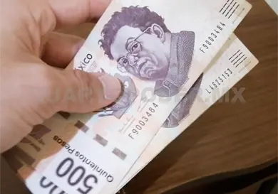 Bajan ingresos para los profesionistas