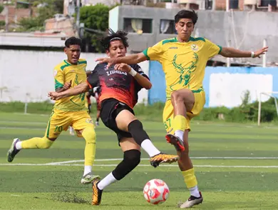 Venados de Yucatán empata con Lechuzas UPGCH