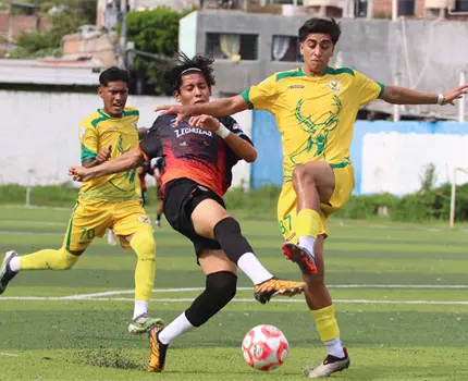 Venados de Yucatán empata con Lechuzas UPGCH