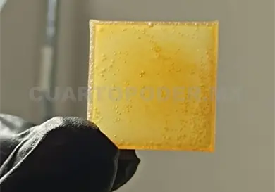Destaca proyecto sobre biomateriales sostenibles