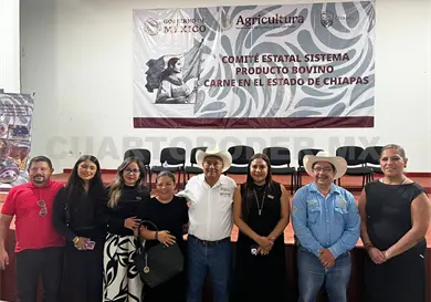 Reactivan el Sistema Producto Bovino Carne