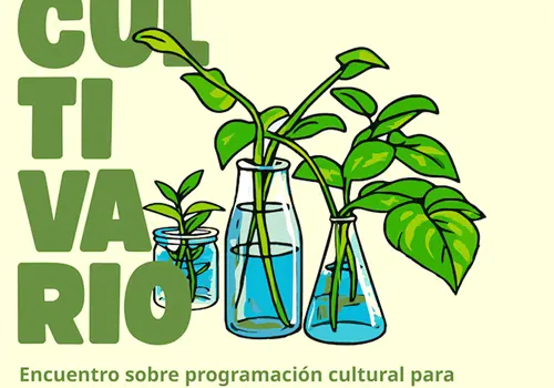 Proponen construir entornos de paz
