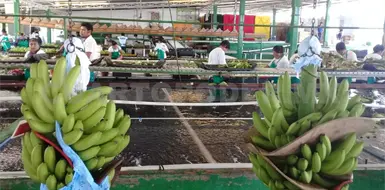 Ocho de cada 10 migrantes trabajan en la informalidad