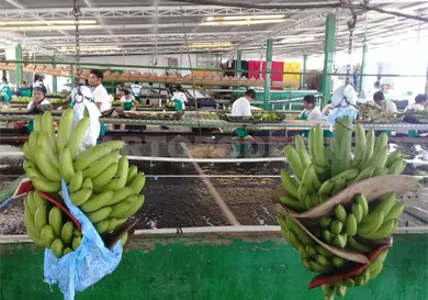 Ocho de cada 10 migrantes trabajan en la informalidad