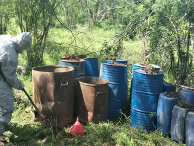 Ejecutan operativos en todo el país