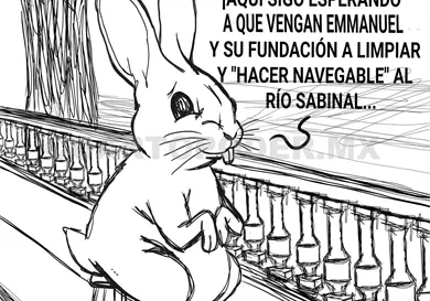 ¿Ecocidio en México? ¿Ecocidio en México?