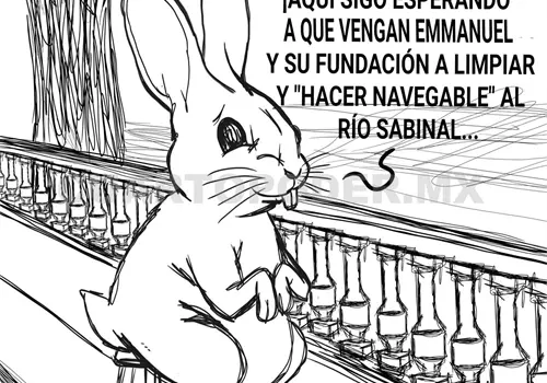 ¿Ecocidio en México?