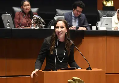 Piden recorte de 15 mil mdp al Tren Maya y el IPAB