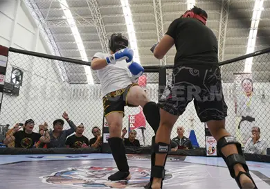 Tux Open 2025 de electrizantes combates Tux Open 2025 de electrizantes combates