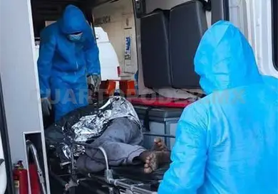 Seis nuevos casos de miasis en humanos