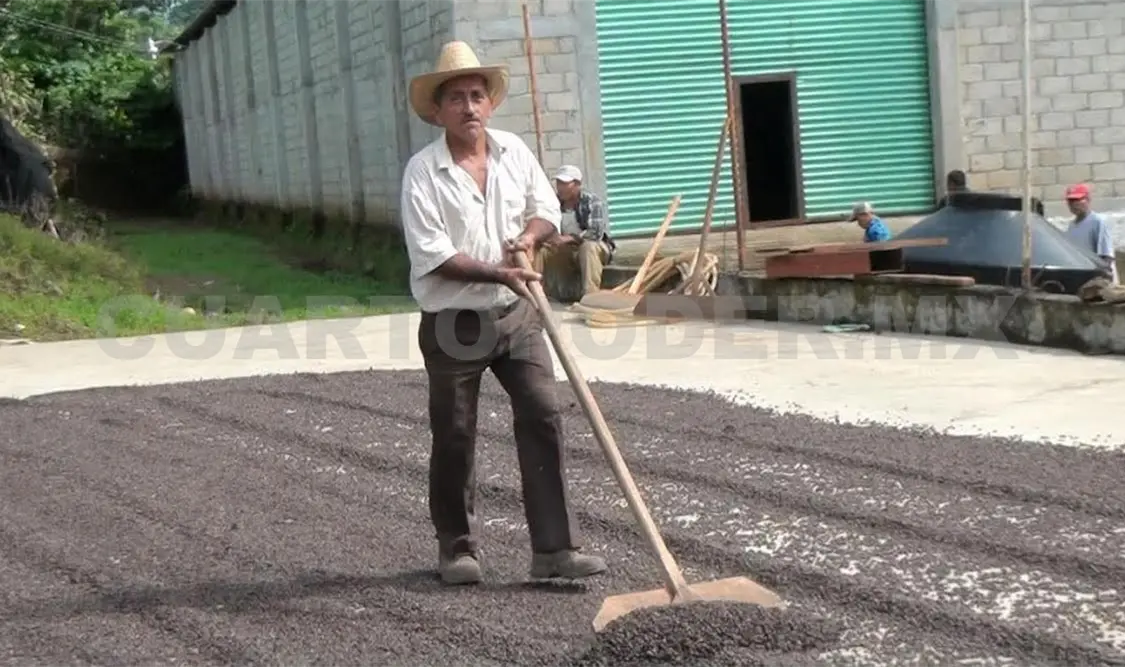 Piden créditos accesibles para salvar al campo