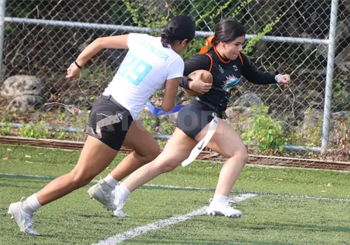 Fifteen Selected se luce en la semana 7