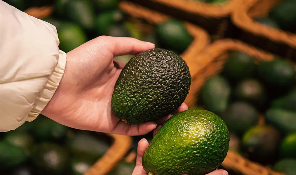 Buscan que IMPI reconozca denominación del aguacate