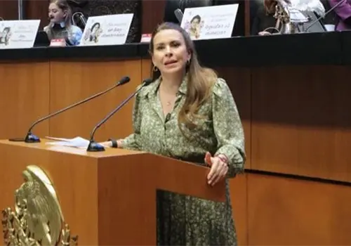 Presentan iniciativa para reformar el artículo 41
