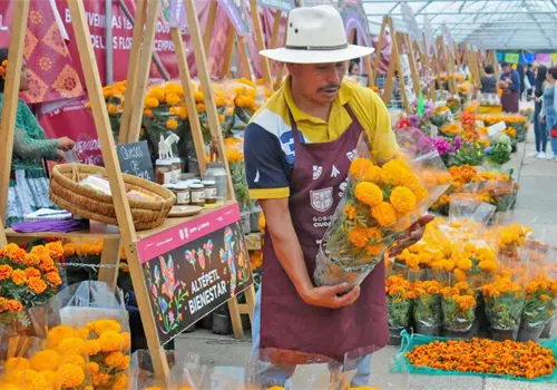 Festival del cempasúchil reúne a productores locales