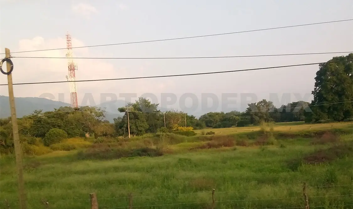Ganaderos temen a la plaga de gusanos
