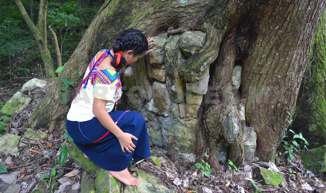Las mujeres choles luchan por ser reconocidas como sujetos de derechos. Cortesía