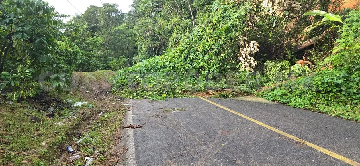 Chiapas es un estado que constantemente es afectado por fenómenos naturales. CP