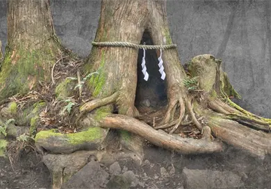 Colectivo japonés debuta en México Colectivo japonés debuta en México