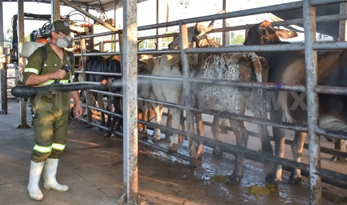 Planta del GBG con 30 % de avance: Sader