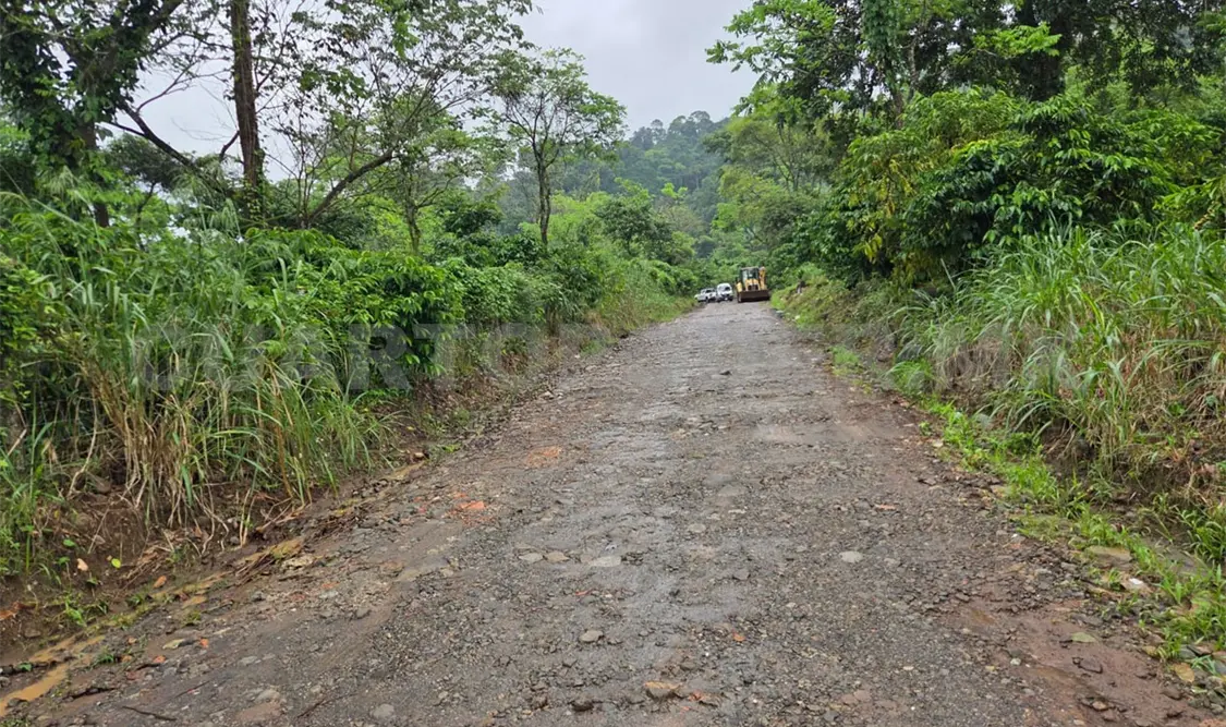Exigen mayor vigilancia en zona cafetalera