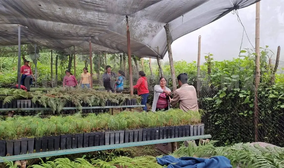 En Unión Juárez se llevó a cabo esta intensa jornada de conservación. Ramon García / CP