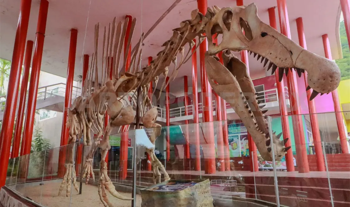 El personal del MUCH cuenta con personal capacitado para atender a la población: Jovani Salazar. Guillermo Ramos / CP