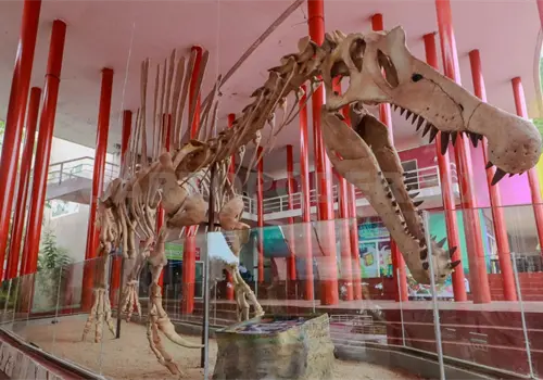 Podrás recorrer el MUCH de manera interactiva Podrás recorrer el MUCH de manera interactiva