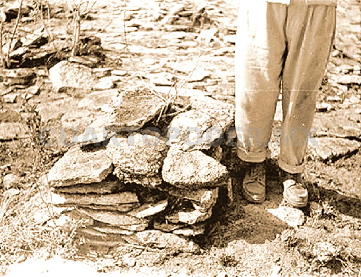 Develan importancia de figuras escultóricas