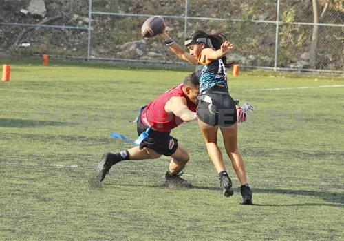 Fifteen Selected logra victoria clave Fifteen Selected logra victoria clave