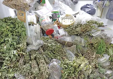 Florece medicina tradicional en los mercados