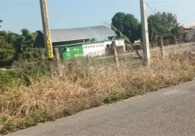 Siguen sin atender las fumigaciones aéreas