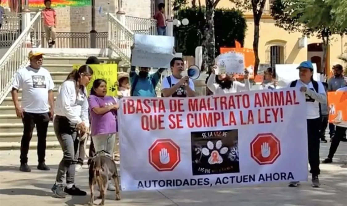 También los animales tienen derecho a vivir, pidieron en marcha. Cortesía
