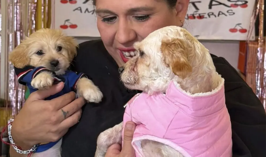Algunas mascotas también fueron víctimas de la explosión en el puente. Cortesía
