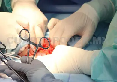 Plantean crear un padrón legal de donadores