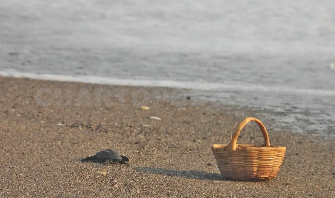 Los pobladores dijeron que el robo de huevo de tortuga se registra de manera frecuente y nadie hace nada para evitarlo. Noel Vázquez / CP
