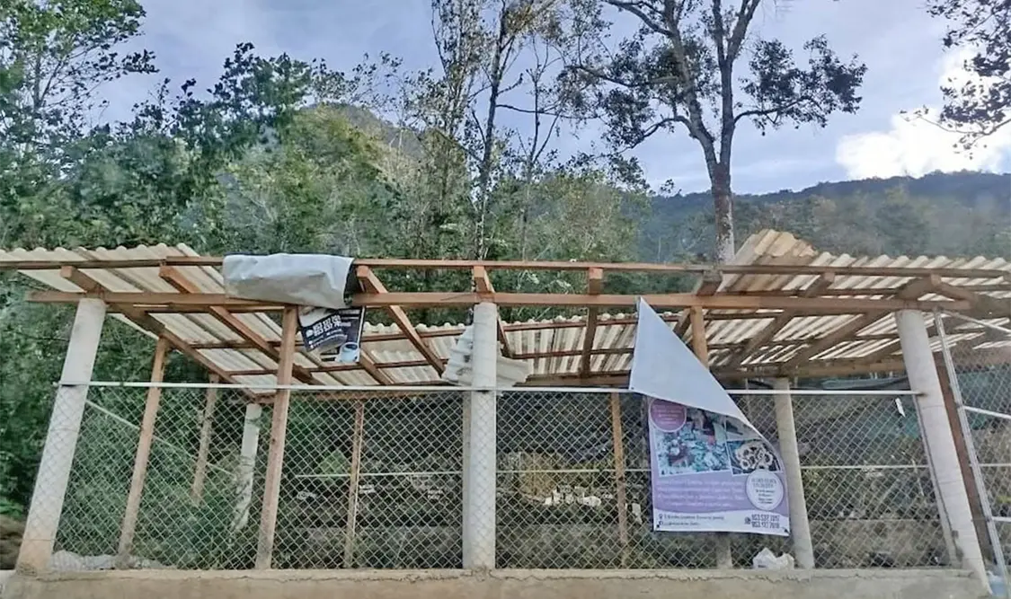 El potente viento llevó a la decisión de suspender las clases en la Mixteca. Cortesía