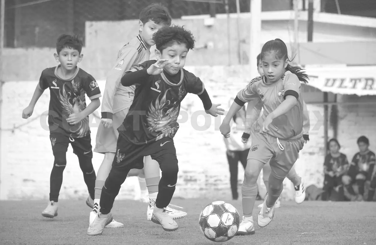 Fénix FC se corona en la Infantil Menor