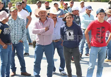 Solicitan reapertura de carreras de caballos