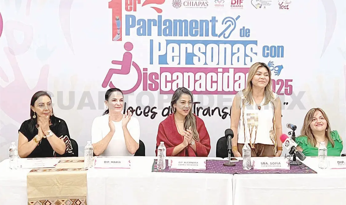 Aspecto de la presentación del Primer Parlamento de Discapacidades. Samuel Meneses / CP