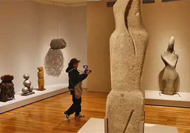 Obra de Geles Cabrera llega a Bellas Artes