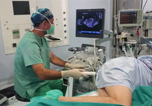 Llaman a la acción contra el cáncer de próstata