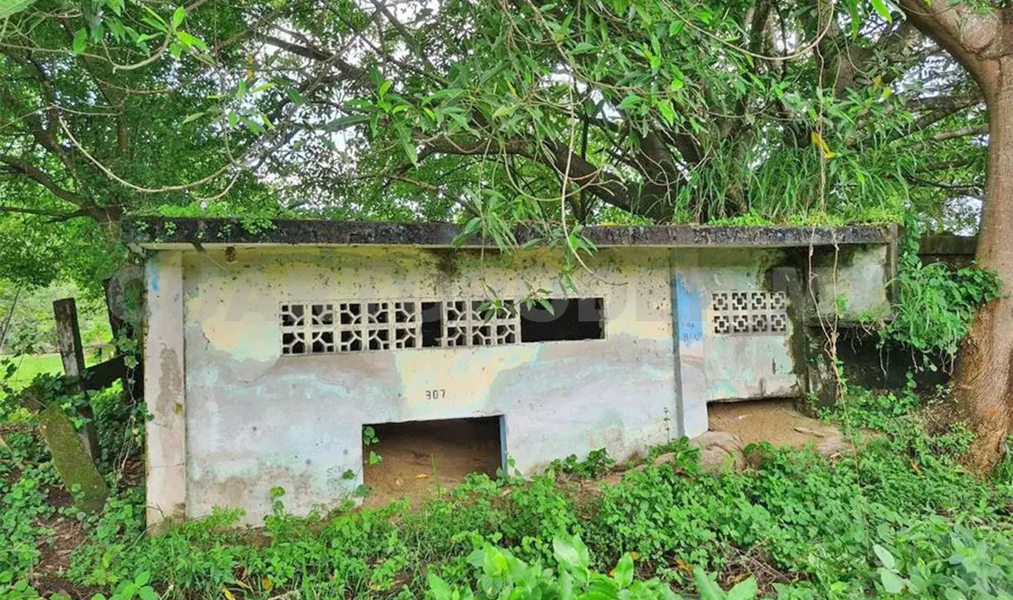 Estos fenómenos generaron grandes avances en Protección Civil. Cortesía