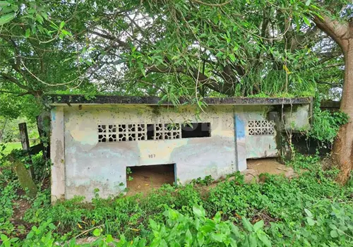 1998, el año del contraste ambiental 1998, el año del contraste ambiental