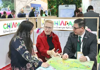 Chiapas busca recuperar el mercado europeo Chiapas busca recuperar el mercado europeo