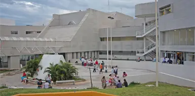 Crece demanda de cirugías neurológicas por accidentes Crece demanda de cirugías neurológicas por accidentes