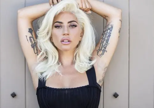 Brote psicótico frenó a Lady Gaga Brote psicótico frenó a Lady Gaga