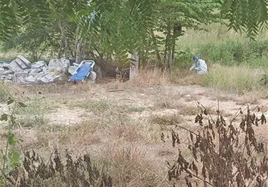 Estaba sin vida en un descampado