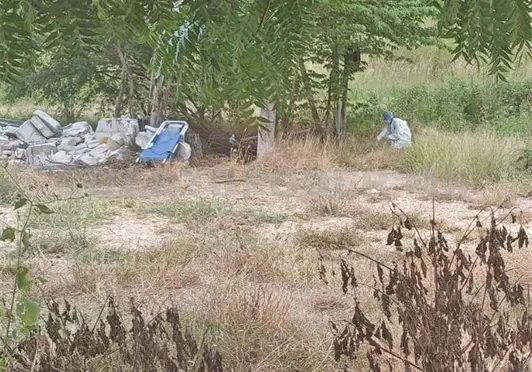 Estaba sin vida en un descampado Estaba sin vida en un descampado