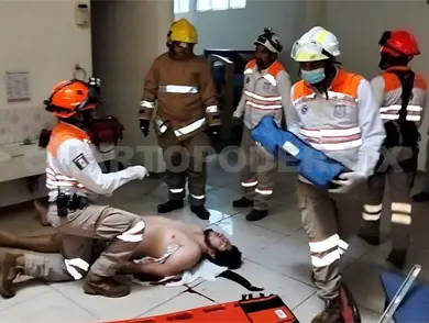 Por rescatar gato cae de 15 metros de altura; está grave Por rescatar gato cae de 15 metros de altura; está grave